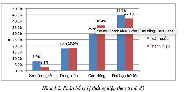  Ai chịu trách nhiệm về việc làm của sinh viên? ảnh 1